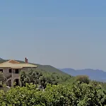 Menina Farm Kalamata Countryside 乡村民宿 *