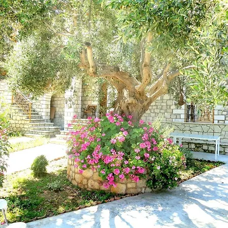 Menina Farm Kalamata Countryside Εξοχικό σπίτι
