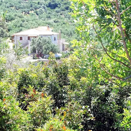 Menina Farm *
