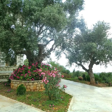 Menina Farm