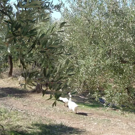 Menina Farm * Perivolakia