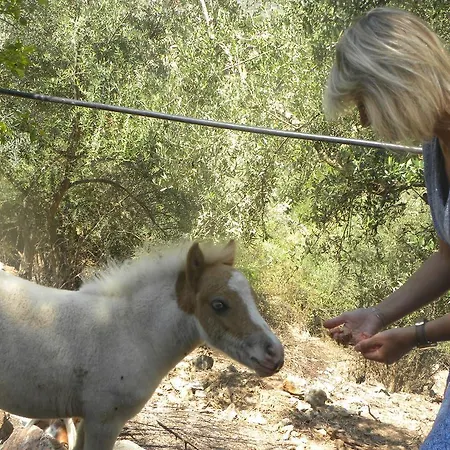 Menina Farm Perivolakia