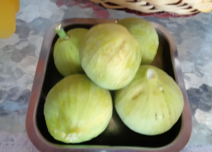 Casa di campagna Menina Farm Kalamata Countryside *